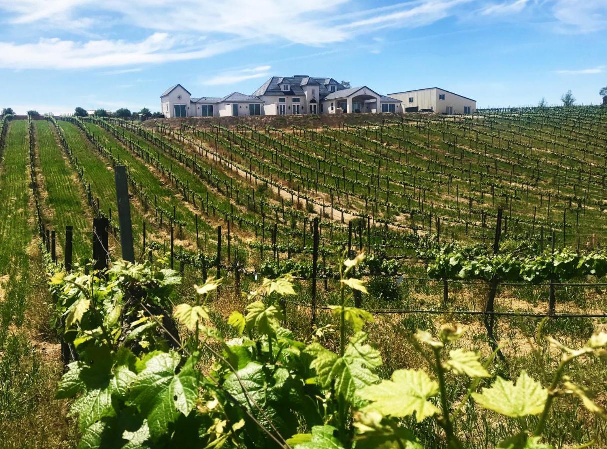 Bed and Breakfast Domaine Chardonnay Temecula Exterior foto