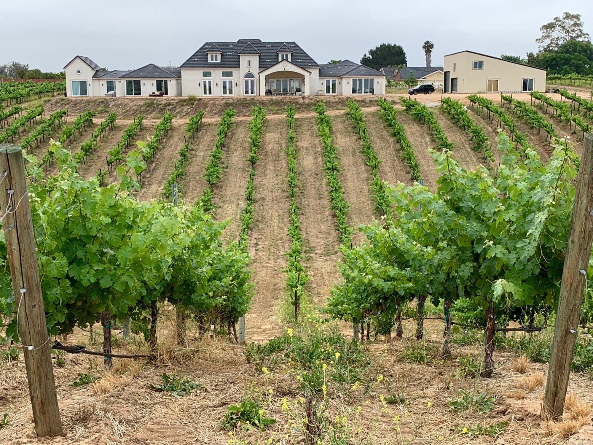 Bed and Breakfast Domaine Chardonnay Temecula Exterior foto